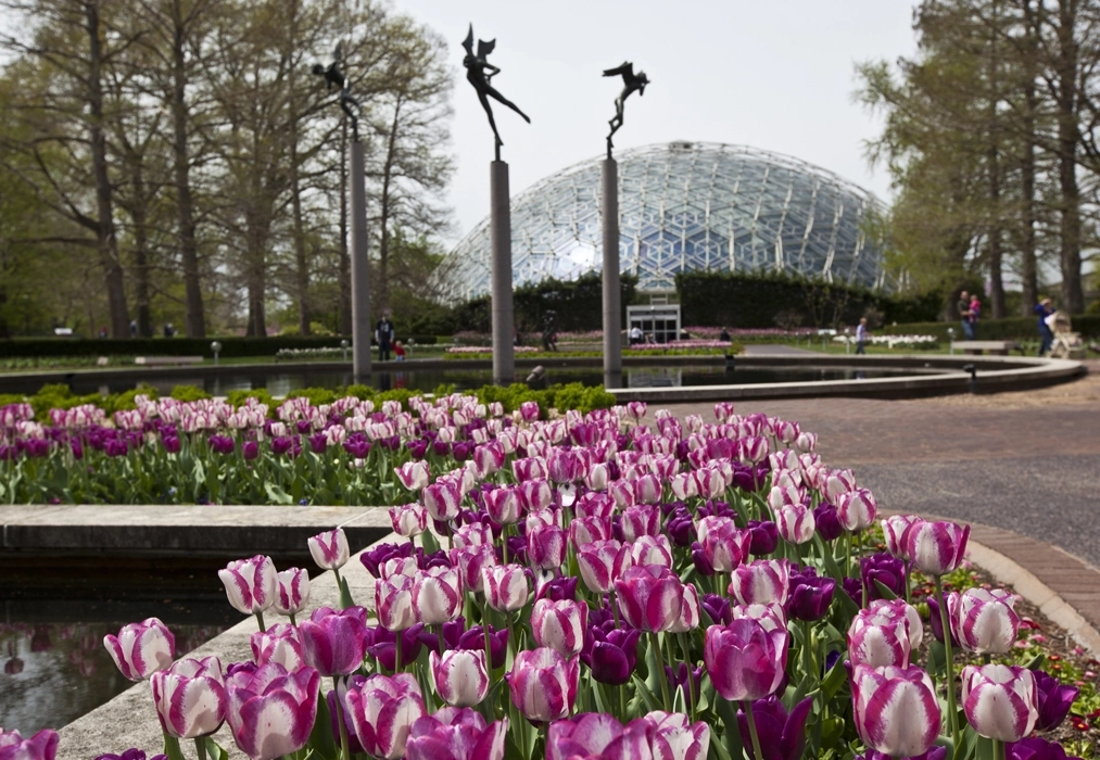 MO-Botanical-Garden-Location.jpg