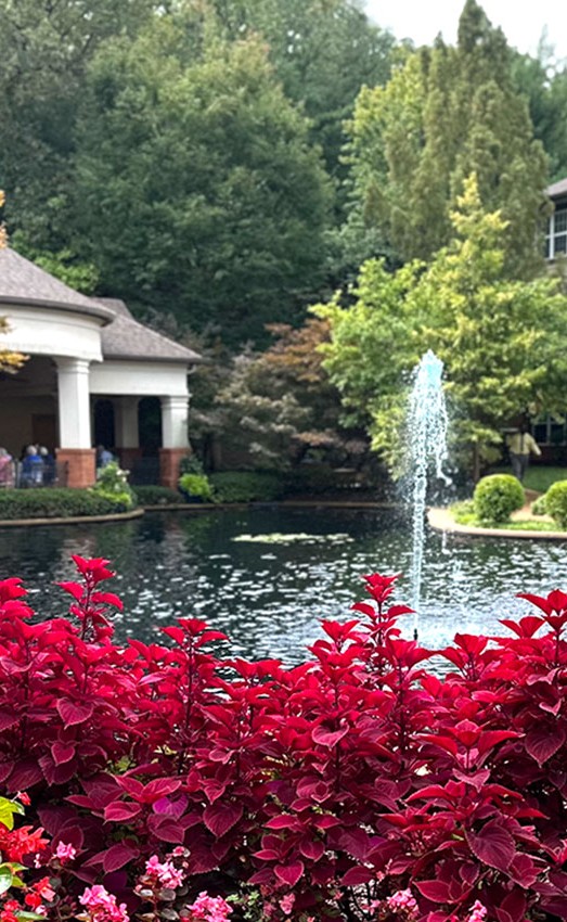 Red flowers with a pond and fountains in the background.