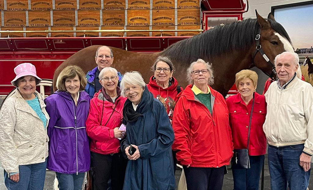 Residents standing in front a horse on brewery tour.